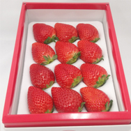 発送用生いちご