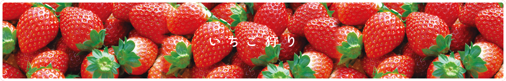 いちご狩り