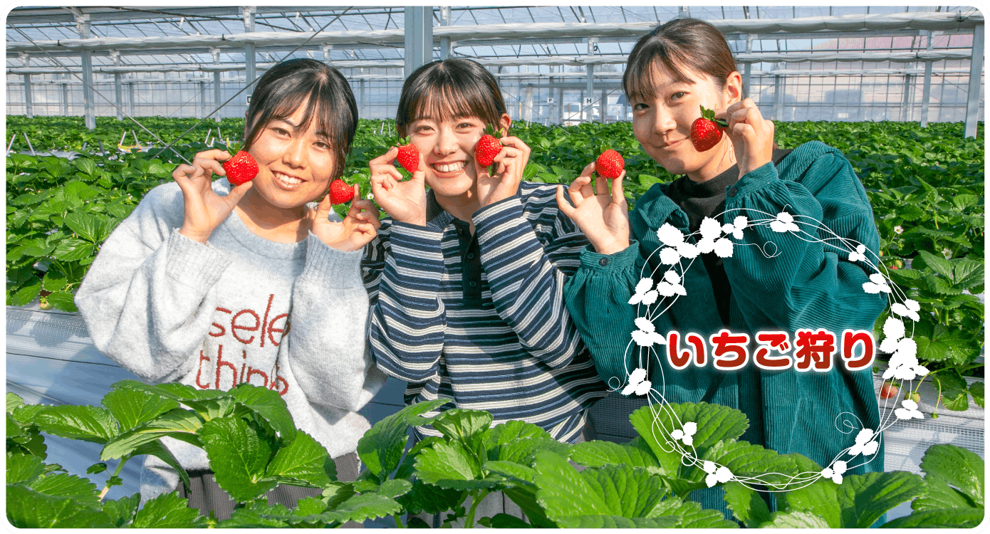 いちご狩り
