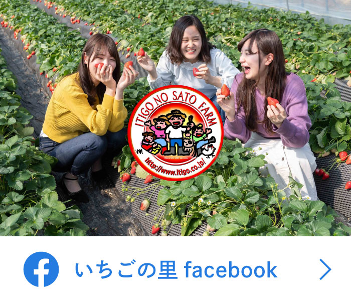 いちごの里facebook