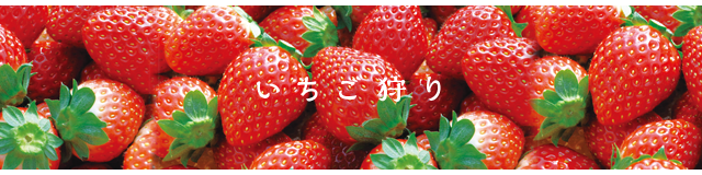 いちご狩り いちごの里 栃木県小山市にあるいちご狩りのできるスローライフリゾート