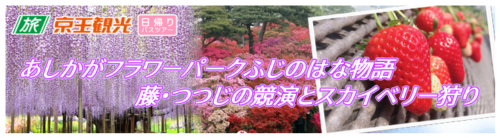 バスツアー いちごの里 栃木県小山市にあるいちご狩りのできるスローライフリゾート バスツアー いちごの里 栃木県小山市にあるいちご狩りのできるスローライフリゾート