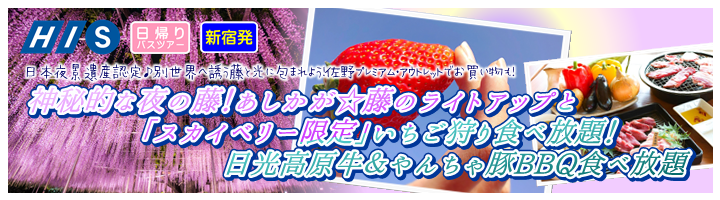 バスツアー いちごの里 栃木県小山市にあるいちご狩りのできるスローライフリゾート バスツアー いちごの里 栃木県小山市にあるいちご狩りのできるスローライフリゾート