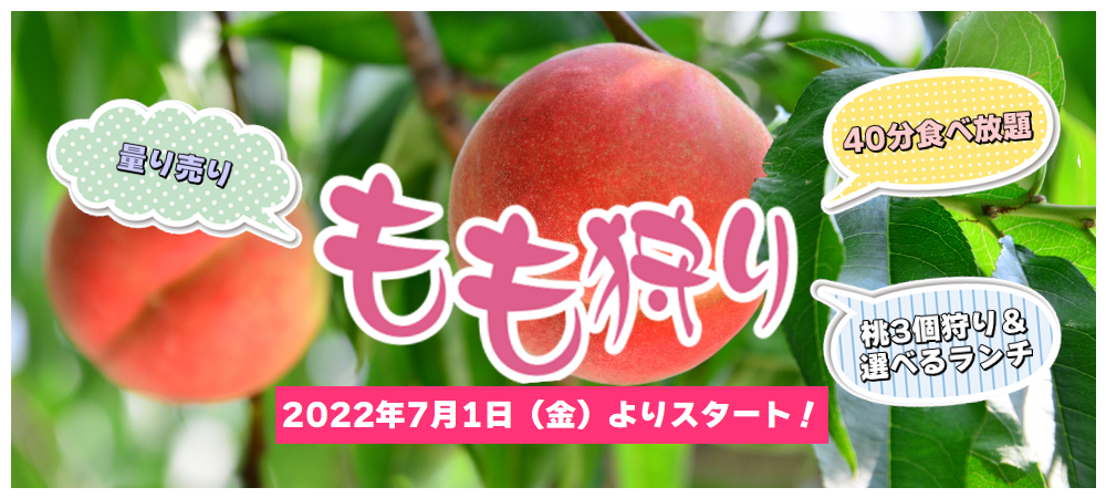 いちごの里 栃木県小山市にあるいちご狩りのできるスローライフリゾート