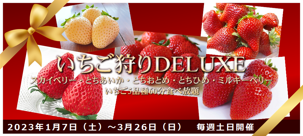 いちごの里 栃木県小山市にあるいちご狩りのできるスローライフリゾート