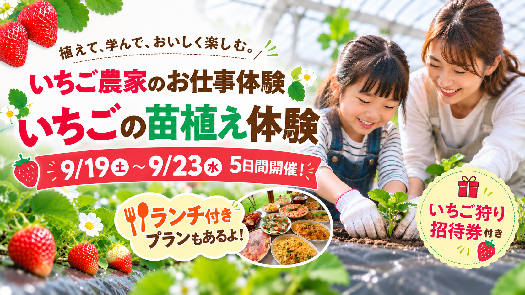 いちごの苗植え体験